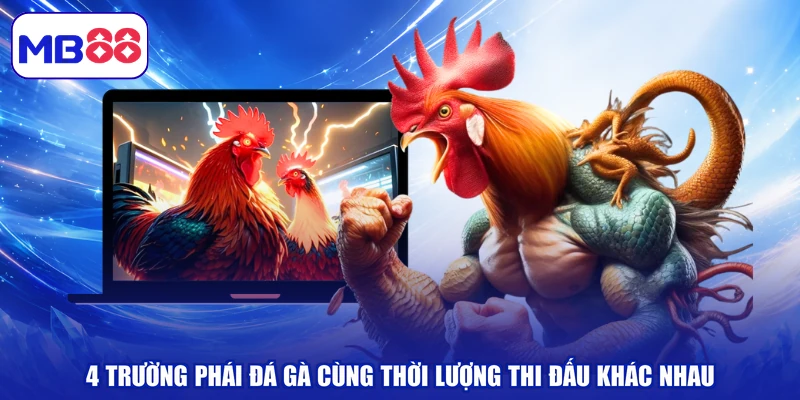 4 trường phái đá gà cùng thời lượng thi đấu khác nhau