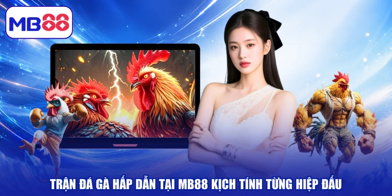 Trận Đá Gà Hấp Dẫn Tại MB88 Kịch Tính Từng Hiệp Đấu